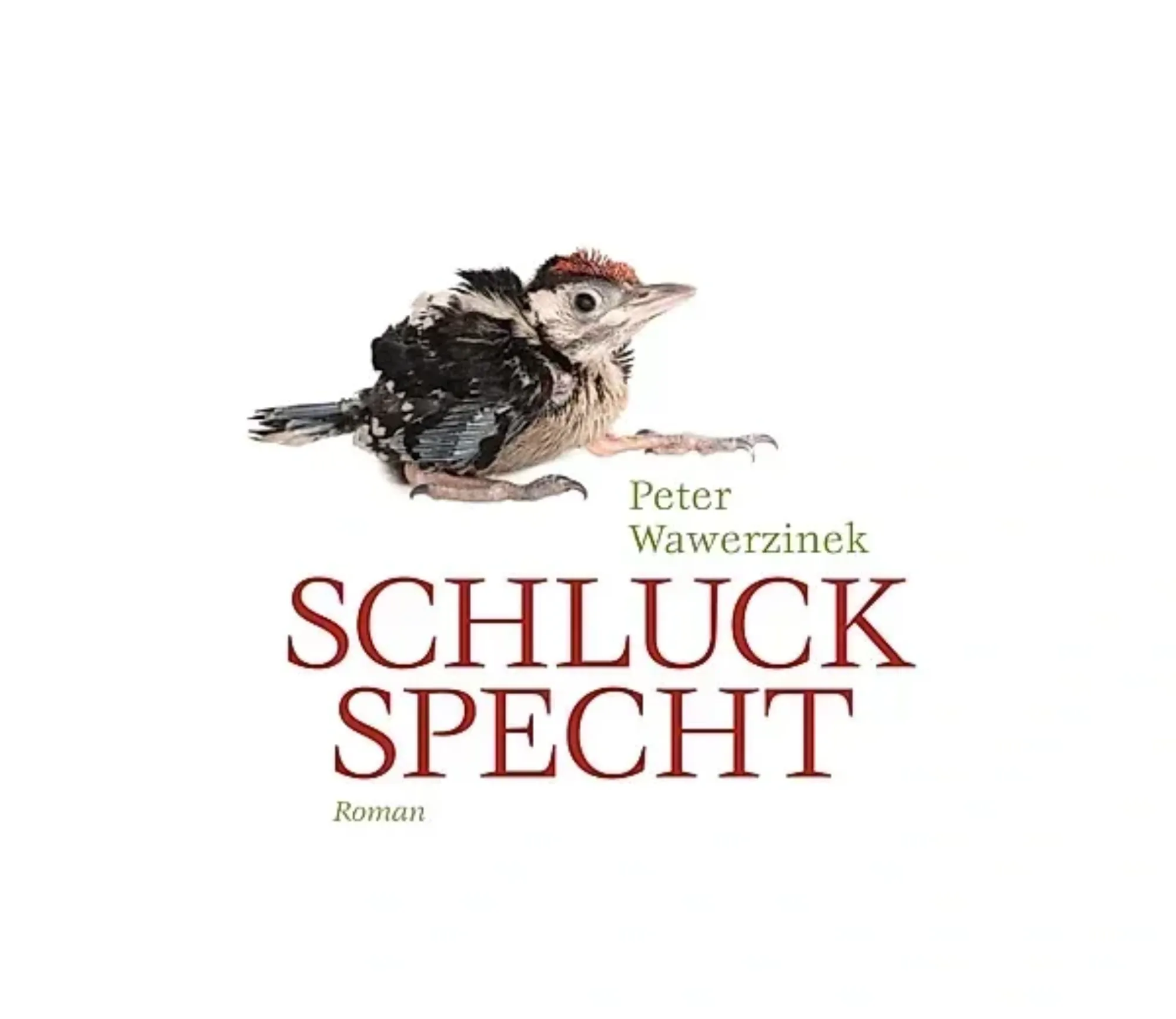 Schluckspecht 306754640